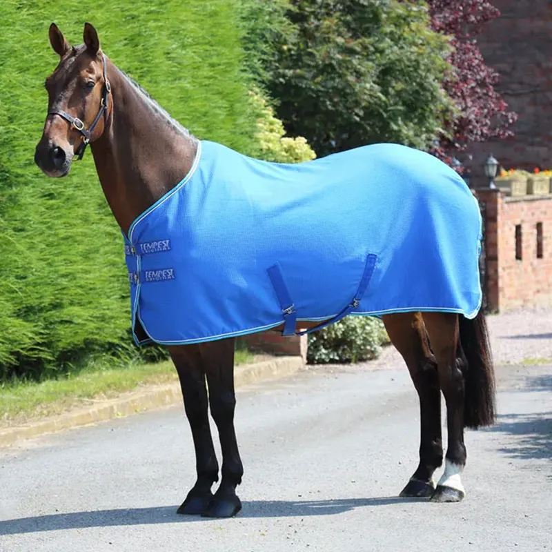 Shires Tempest Waffle Cooler - Royal Blue - Slight Seconds